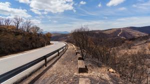 Montes públicos afectados por los incendios de este verano