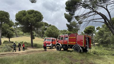 Simulacro de incendio forestal Simulacro de incendio forestal