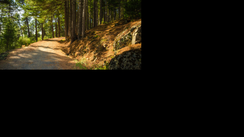 Pista del Monte Abantos