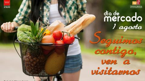 Cesta de bicicleta llena de frutas