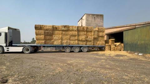 La Comunidad de Madrid reparte más de 130.000 kilos de comida y 60.000 litros de agua para los animales silvestres afectados por los incendios Forraje para animales salvajes