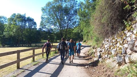 Grupo de jóvenes andando por un camino