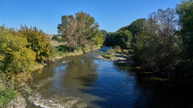 Ríos - Manzanares Río Manzanares