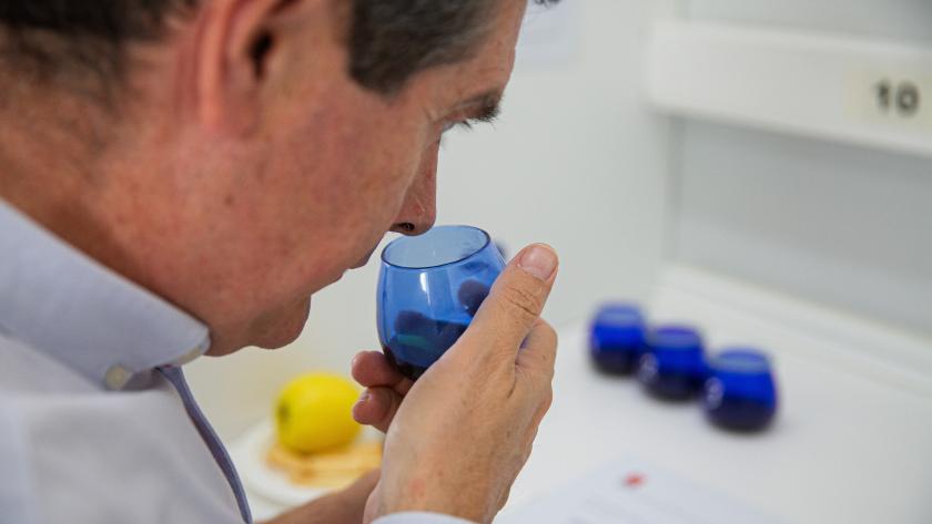 La Comunidad de Madrid convoca el primer Concurso de Catadores de Aceite de Oliva Virgen para apoyar la excelencia de este sector Señor catando aceite