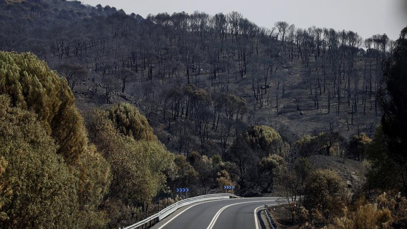 La Comunidad de Madrid recuperará 200 kilómetros de carreteras afectadas por los incendios y pondrá en marcha un servicio de vehículos compartidos en Sierra Oeste Carretera