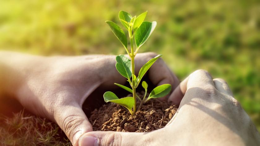 Nueve proyectos de Atención Primaria de la Comunidad de Madrid son candidatos a los Premios Sanidad por el Clima Iniciativas de protección del medio ambiente