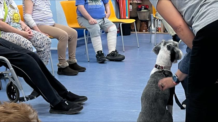 La Comunidad de Madrid, primera región de España en implantar un programa terapéutico con perros para personas con trastorno mental grave Taller de Intervención Asistida con Animales