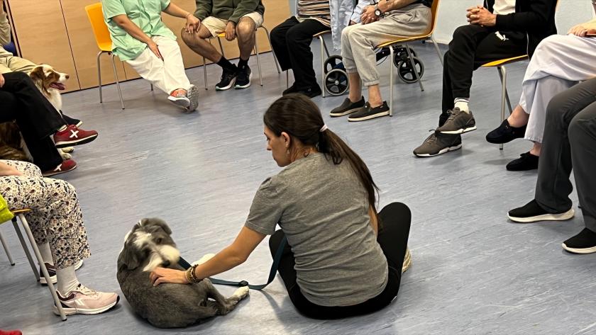 Taller de Intervención Asistida con Animales