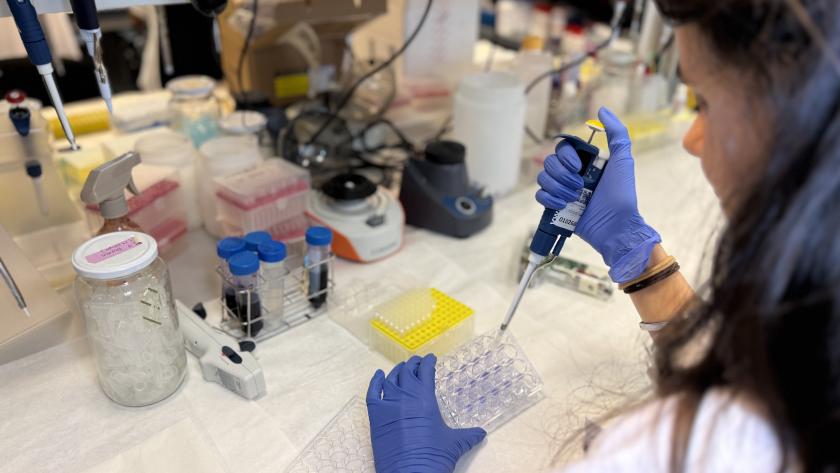 Investigadores del Hospital público La Paz de la Comunidad de Madrid identifican una proteína que explica la elevada agresividad del melanoma Investigadora del Hospital público La Paz
