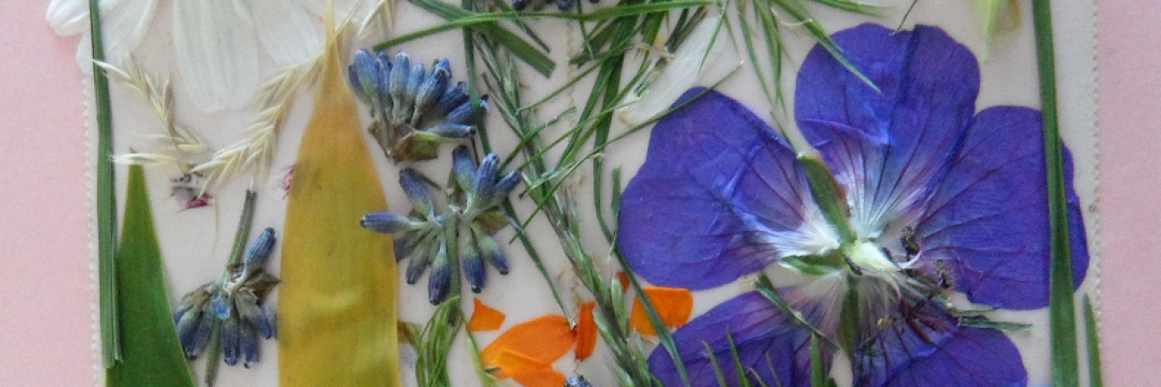 flores prensadas