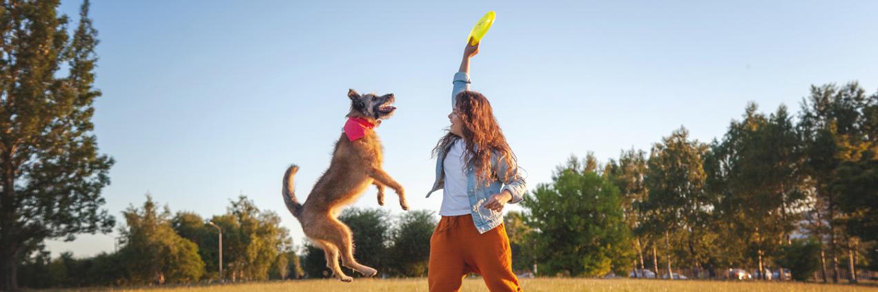 Mujer jugando con un perro