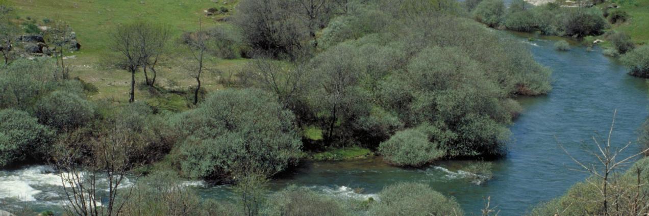 Valle del Lozoya río