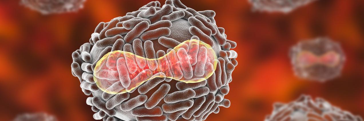 Celula contagiada por un virus