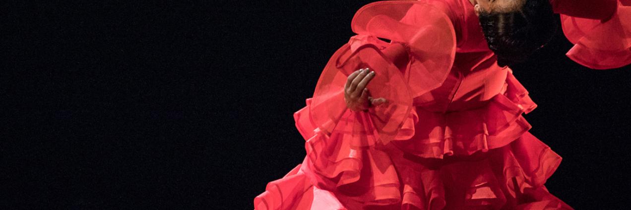 Festival Suma Flamenca 