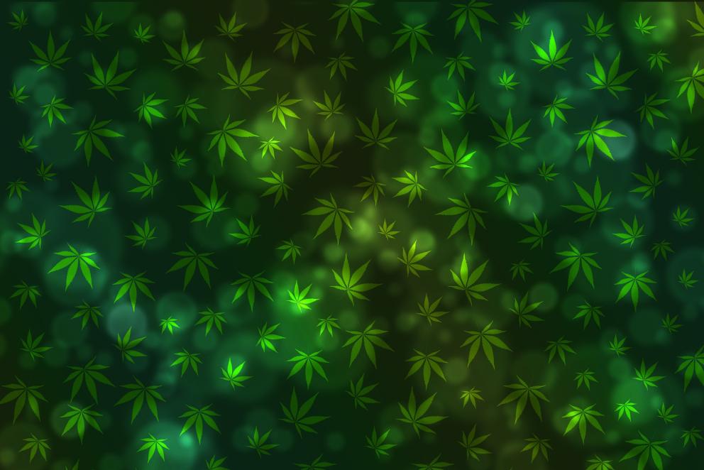 gráfico de hojas de marihuana