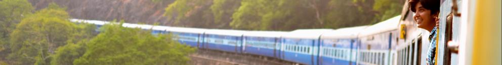 Tren pasando en un paisaje verde con una chica asomándose
