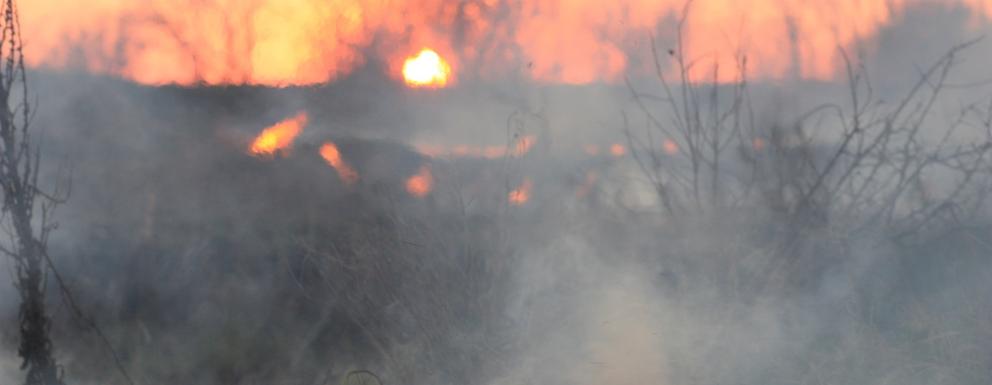 Humo de incendio Humo procedente de un incendio de pastos