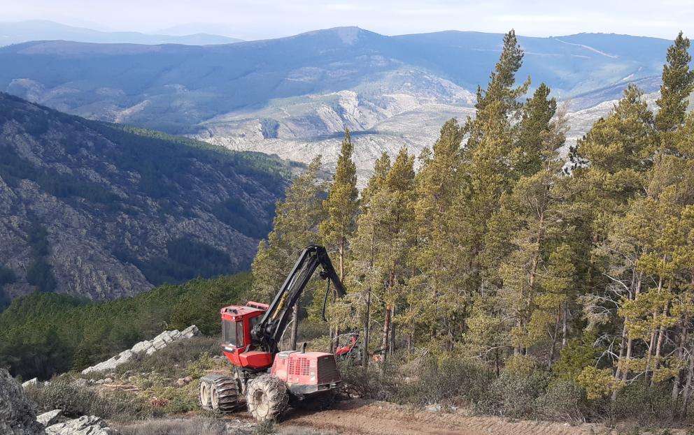 Maquinaria forestal 