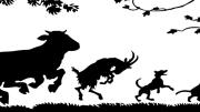 Taller Entre libros y animales