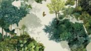 Un mapa del mundo tejido por bosques