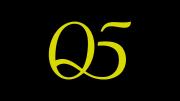 Logo Q5