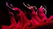 Ballet Español de la Comunidad de Madrid. Foto Juan Manuel Borras Pardo