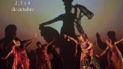 Imagen de los bailarines en el escenario