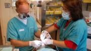 Intervención dental
