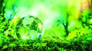 TECNICO MEDIOAMBIENTAL