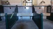 Dehesa y casa de Monta