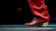 Zapatos marrones flamenco