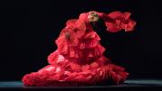 Lucía Campillo Festival Suma Flamenca
