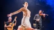 imagen de una bailaora en un escenario lleno de velas encendidas detrás un guitarrista y un violinista 