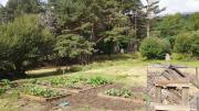 Huerto y compostaje en el campo