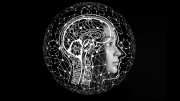 Imagen icónica del cerebro