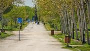 Parque Forestal de Polvoranca