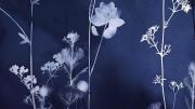 Imagen decorativa