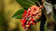 imagen decorativa