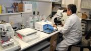 El investigador Ulises Gómez Pinedo, del Laboratorio de Neurobiología y Terapias Avanzadas del Clínico San Carlos