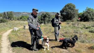 La Comunidad de Madrid inicia una campaña de vigilancia para la detección de cebos envenenados en el medio natural y en terrenos cinegéticos  