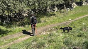 La Comunidad de Madrid inicia una campaña de vigilancia para la detección de cebos envenenados en el medio natural y en terrenos cinegéticos  