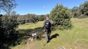 La Comunidad de Madrid inicia una campaña de vigilancia para la detección de cebos envenenados en el medio natural y en terrenos cinegéticos  