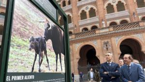 El consejero Carlos Novillo durante la inauguración de la exposición fotográfica organizada por la Unión de Criadores de Toros de Lidia