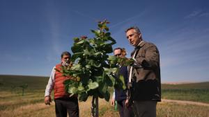 Novillo informa del balance del primer aniversario del Plan de Dinamización del Sector Primario El consejero Carlos Novillo informa del balance del Plan para mejorar la competitividad de las explotaciones agrícolas y ganaderas