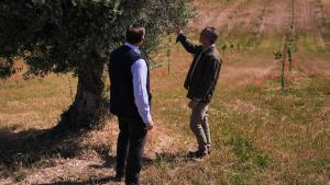 Novillo informa del balance del primer aniversario del Plan de Dinamización del Sector Primario El consejero Carlos Novillo informa del balance del Plan para mejorar la competitividad de las explotaciones agrícolas y ganaderas