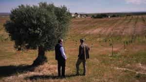 Novillo informa del balance del primer aniversario del Plan de Dinamización del Sector Primario El consejero Carlos Novillo informa del balance del Plan para mejorar la competitividad de las explotaciones agrícolas y ganaderas
