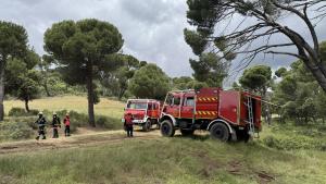 Simulacro de incendio forestal