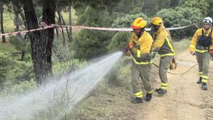 Simulacro de incendio forestal