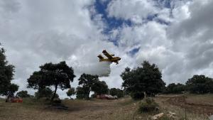 Simulacro de incendio forestal