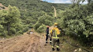 Simulacro de incendio forestal
